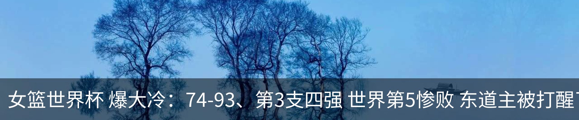 最新动态